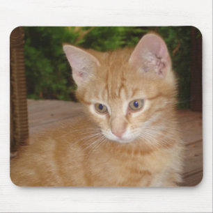 Here, Mousey, Mousey! Mouse Pad