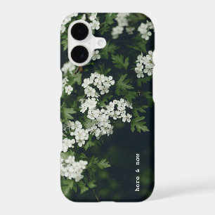 Here & Now (custom text) Dark green blooms Nature