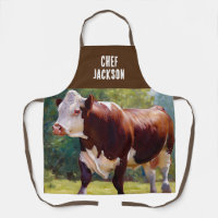 Hereford Bull