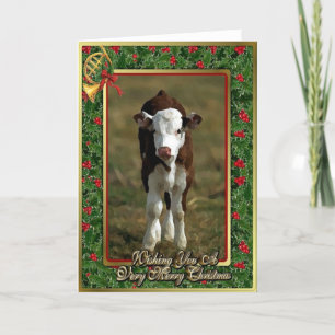 Hereford Calf Cow Blank Christmas Card