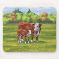 Hereford Cow & Cute Calf in Summer Pasture