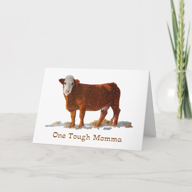 Hereford Cow: One Tough Momma: Mother's Day Card (Front)