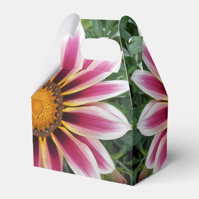 Hereford Favour Box (Front Side)