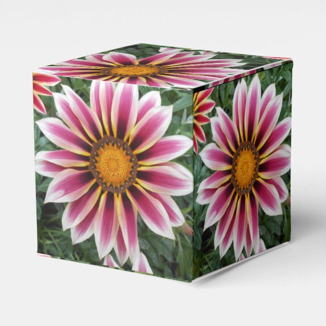 Hereford Favour Box (Front Side)
