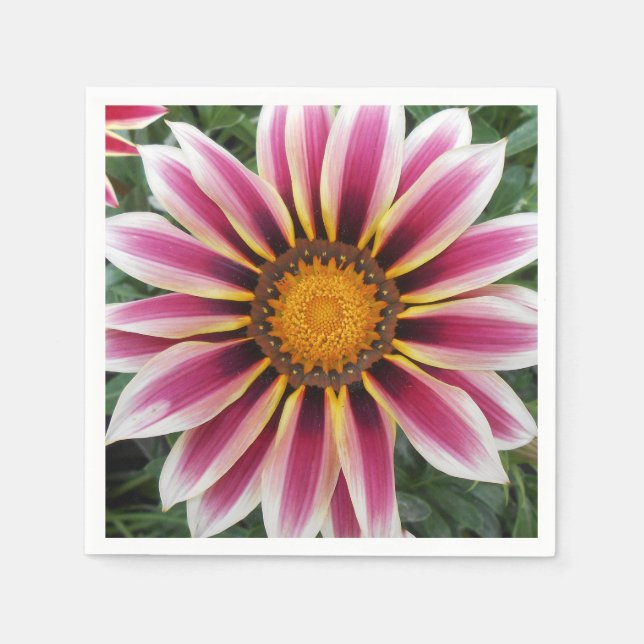 Hereford Napkin (Front)