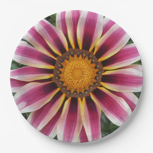 Hereford Paper Plate (Front)