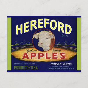 Hereford Washington Apples Postcard
