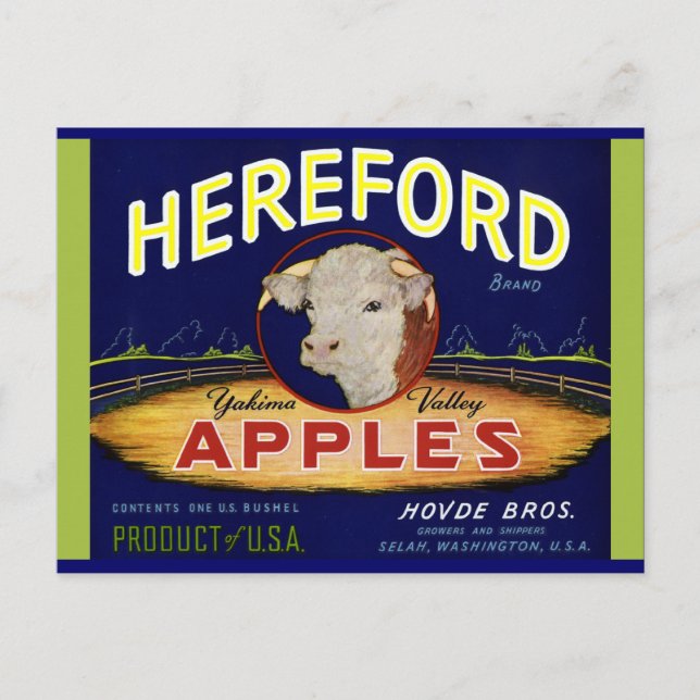 Hereford Washington Apples Postcard (Front)