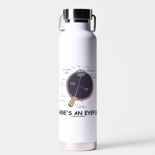 Here's An Eyeful Eye Anatomy Geek Humour Water Bottle (Front)