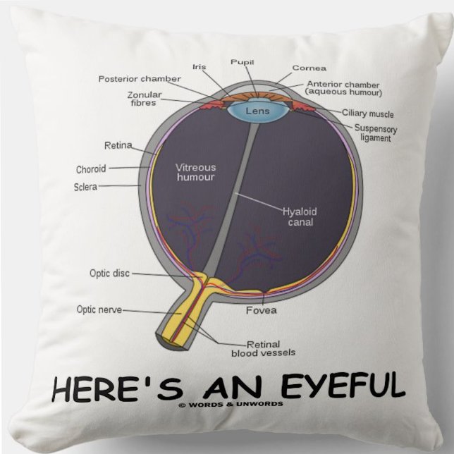 Here's An Eyeful (Eye Anatomy Humour) Cushion (Throw pillow featuring human eye anatomy along with the caption "Here's An Eyeful")