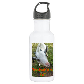 Here's lookin' at you, Kid! 532 Ml Water Bottle