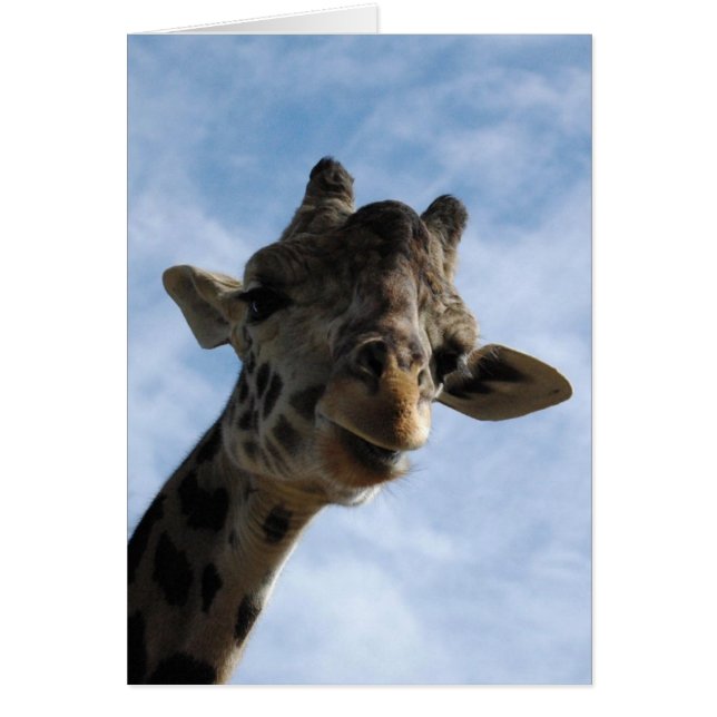 Here's looking at you! (Front)