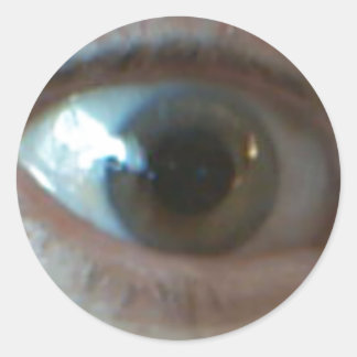 Here's Looking at You Kid ! Classic Round Sticker