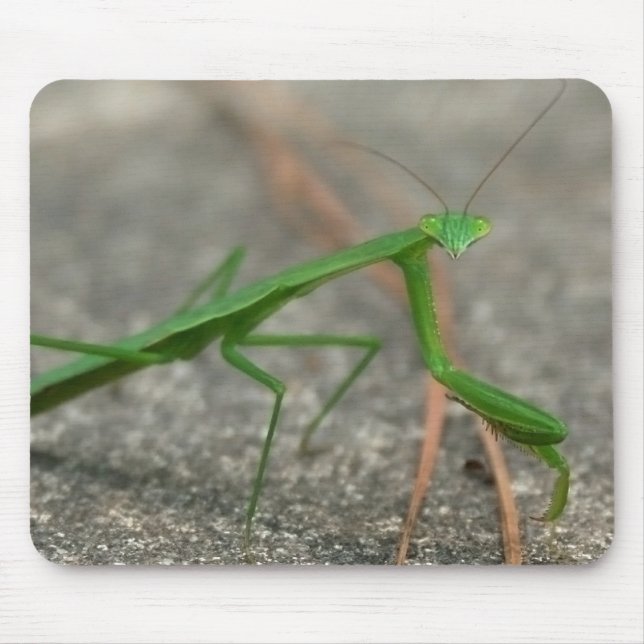 Here's Looking At You (Sideways) Mousepad (Front)