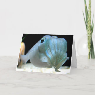 Here's looking at you, squid! holiday card