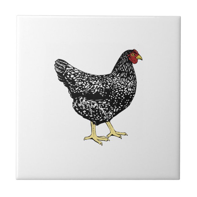 Heritage Breed Laying Hen - Barred Plymouth Rock Tile (Front)