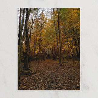 Heritage Park Fall Trail Postcard