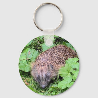 Herman Hedgehog Key Ring