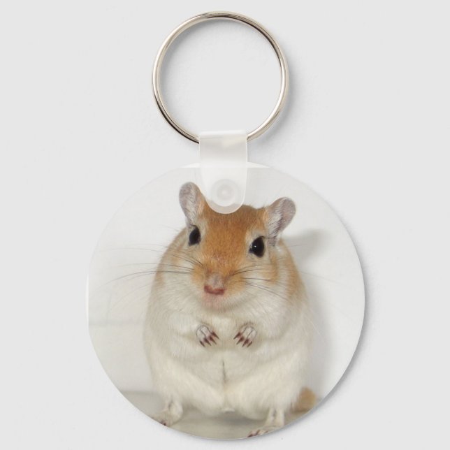 Herman the Gerbil Keychain (Front)