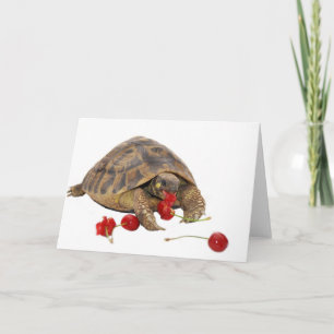 Hermann Tortoise and Strawberries Card
