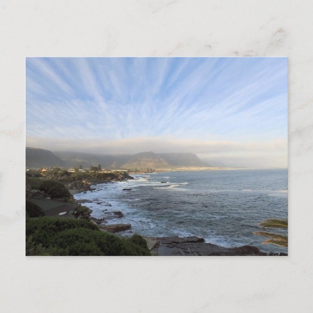 Hermanus, South Africa Postcard (Front)