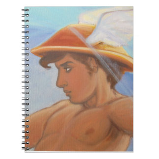 Hermes and the Zephyr - Hermes notebook