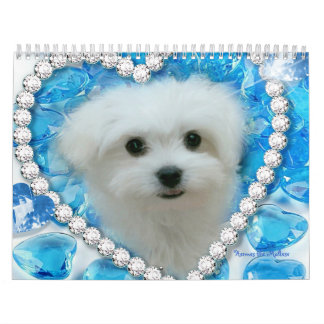 Hermes the Maltese Calendar