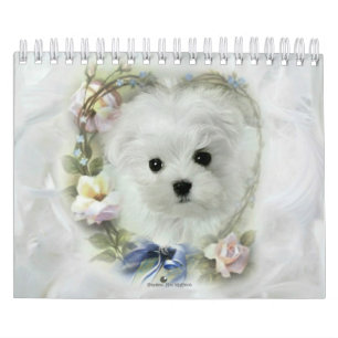 Hermes the Maltese Calendar