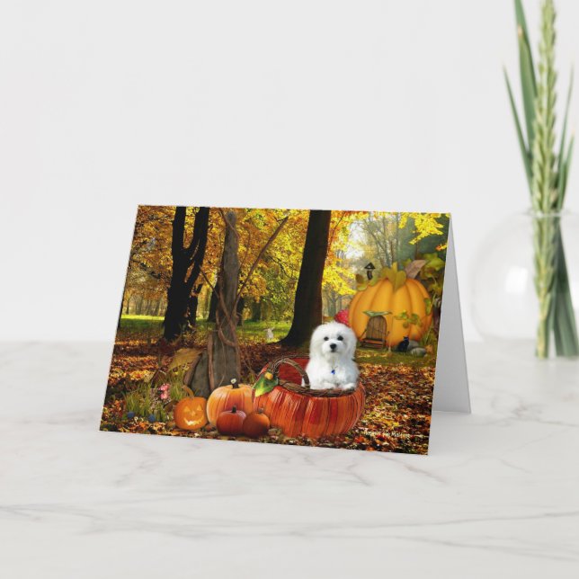 Hermes the Maltese Card (Front)