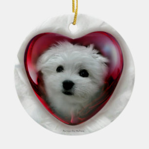 Hermes the Maltese Ceramic Ornament