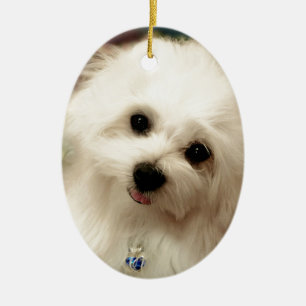 Hermes the Maltese Ceramic Tree Decoration
