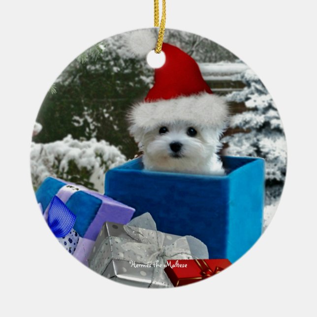 Hermes the Maltese Ceramic Tree Decoration (Front)