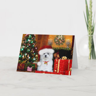 Hermes the Maltese Christmas Greeting Card