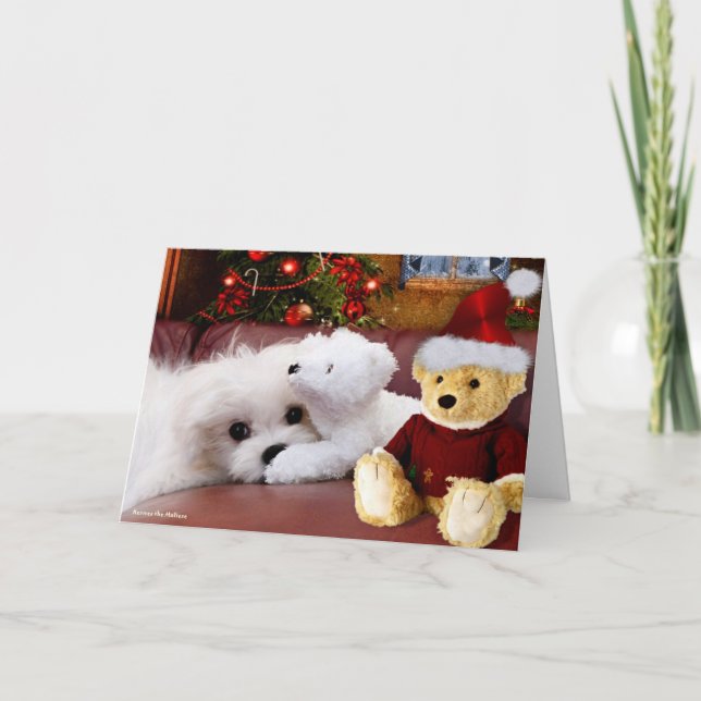 Hermes the Maltese Christmas Greeting Card (Front)