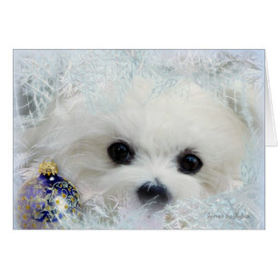 Hermes the Maltese Christmas Greeting Card