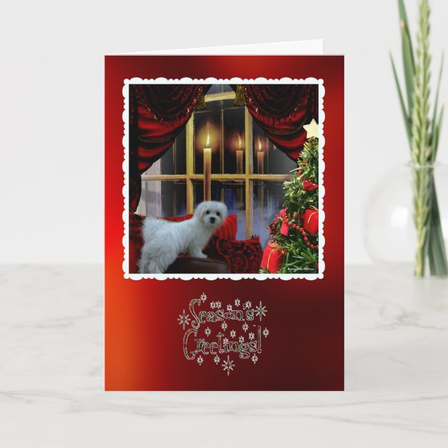 Hermes the Maltese Christmas Greeting Card (Front)