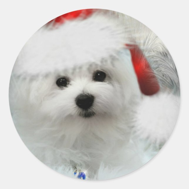 Hermes the Maltese Classic Round Sticker (Front)