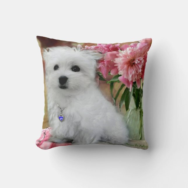 Hermes the Maltese Cushion (Front)