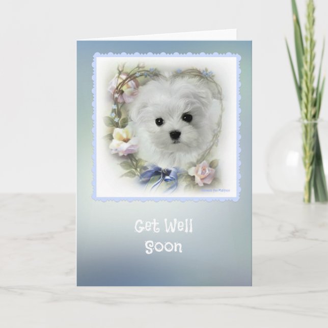 Hermes the Maltese 'Get Well' Greeting Card (Front)