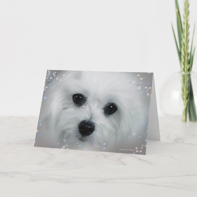 Hermes the Maltese Holiday Card (Front)