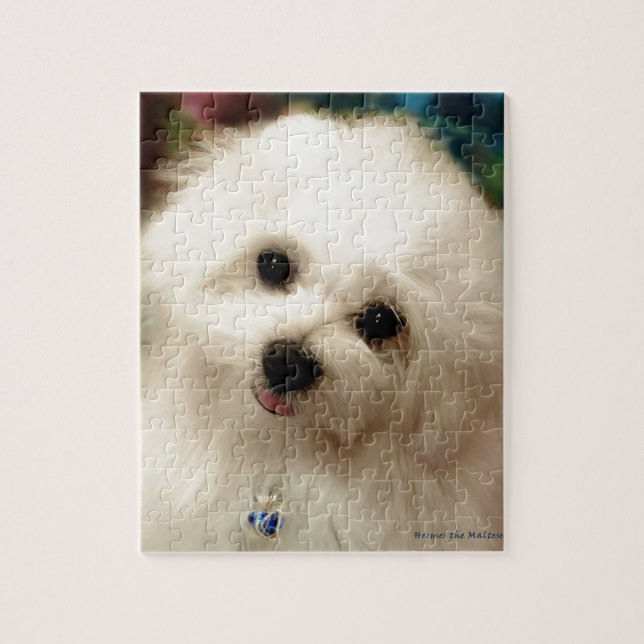 Hermes the Maltese Jigsaw Puzzle (Vertical)