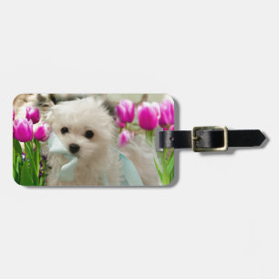 Hermes the Maltese Luggage Tag