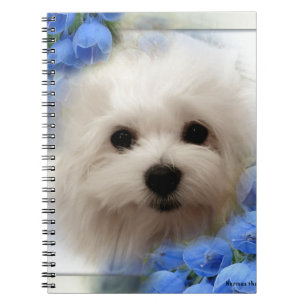 Hermes the Maltese Notebook