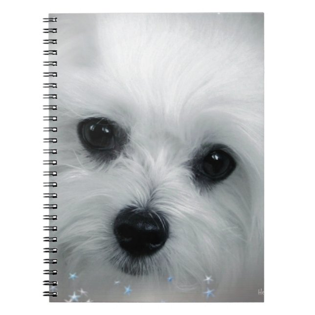 Hermes the Maltese Notebook (Front)