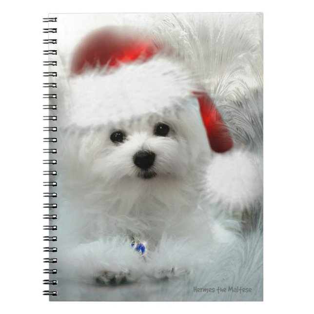 Hermes the Maltese Notebook (Front)