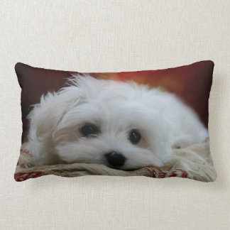 Hermes the Maltese Pillow