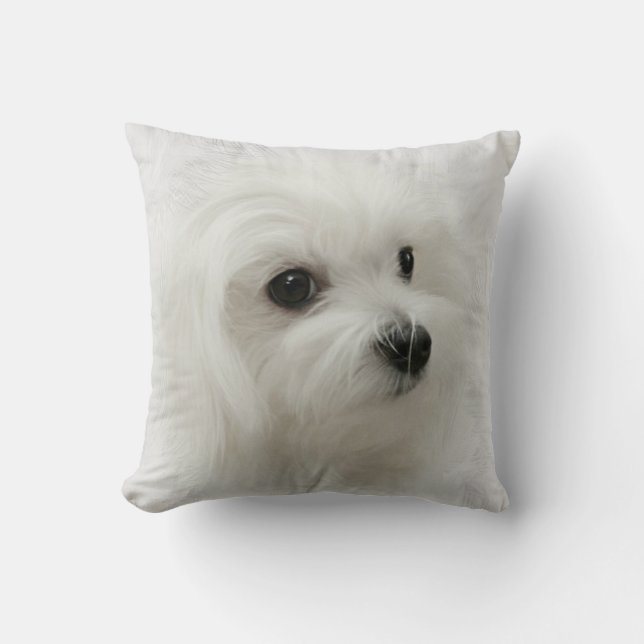 Hermes the Maltese Pillow Cushion (Front)