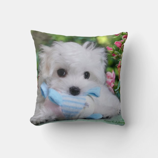 Hermes the Maltese Pillow/Cushion Cushion (Front)
