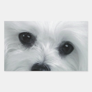 Hermes the Maltese Rectangular Sticker