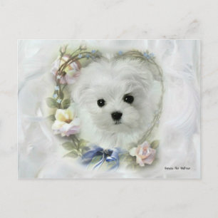 Hermes the Maltese Valentine Card